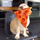 mean-while-smsile avatar