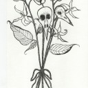 meandering-magpies avatar