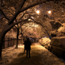 meanderingsofmeaning avatar