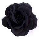 meandmyinsecurities avatar