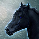 meaniestranger avatar