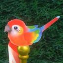 meaningless-mayhem avatar