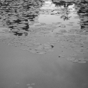 meaningofthemeaningless avatar