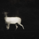 meanlikeachild avatar