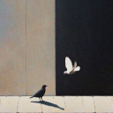 meanmugginmally avatar