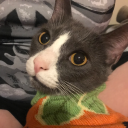 meannectarine avatar