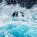 meanwhile-in-the-cosmos avatar