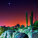 meanwhileinnightvale avatar