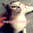 mecattsumori avatar