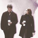 mechanical-lights avatar