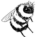 mechanicgirl19 avatar