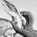 mecharexisbones avatar