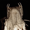 mechova-entita avatar