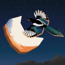 medicated-magpie avatar