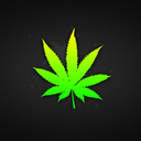 medicatedpineapples avatar