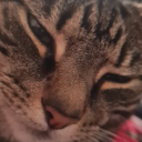 medicatingwithfiction avatar