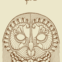 medicencapybara avatar