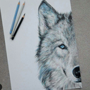 medicenmurcia avatar