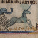 medieval-unicorns avatar