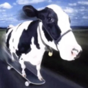 medievalpeasant avatar