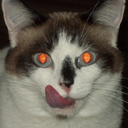 mediocre-endings avatar