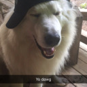 mediocre-username avatar