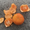 meditativedeer avatar