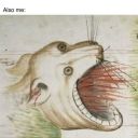 mediummeteorite avatar