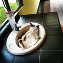 medleymusichangover-blog avatar