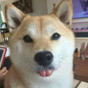 medlife-crisis avatar