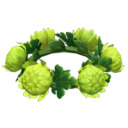 medohisle-moved avatar