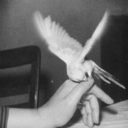 medusa-en-la-inopia avatar