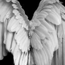 medusabulutsusu avatar