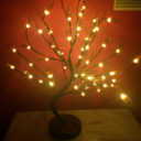 meeshes-n-cream avatar