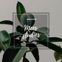 meesstudies avatar