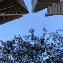 meesterslowly avatar