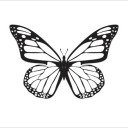 meetmeinmudville avatar