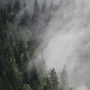 meetmeinthefog avatar