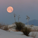 meetmeinthemorning avatar