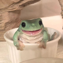 meetmeinyourbed avatar