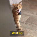 meetnarcissusjones avatar