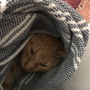 meetthemanbehindthemask avatar