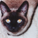 meezermama-blog avatar