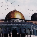 meftunmuvahhide avatar