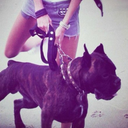 mega-bad-girl-fan avatar