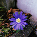 mega-lousue-stuff avatar