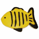 megafishcookie avatar