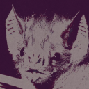 megamentelover avatar