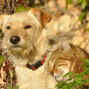 megankof-blog avatar