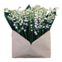 megans-earlyspring avatar